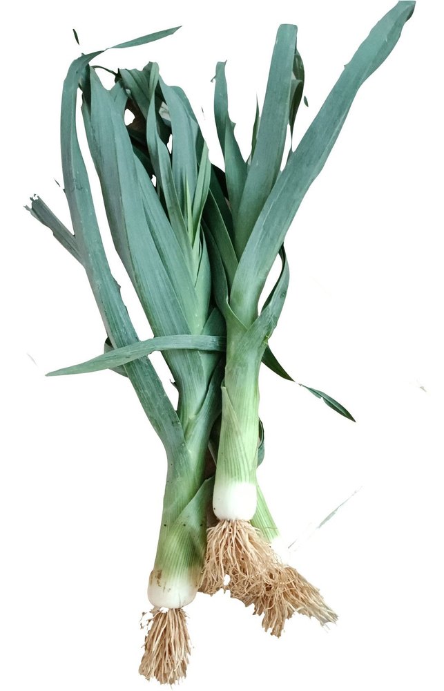 A Grade Fresh Green Leek, Loose