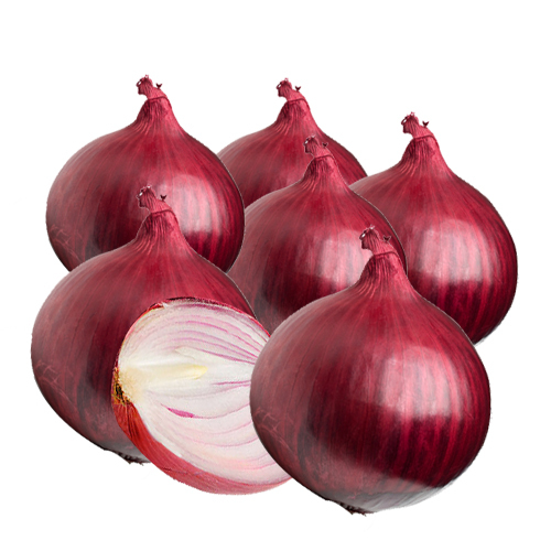 A Grade Maharashtra Red Onion, Net Bag, Onion Size Available: Large