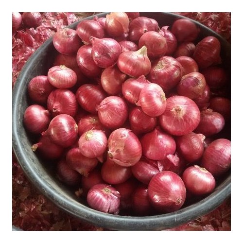 A Grade Red Onion, For Human Consumption, Onion Size Available: 25 mm to 75 mm