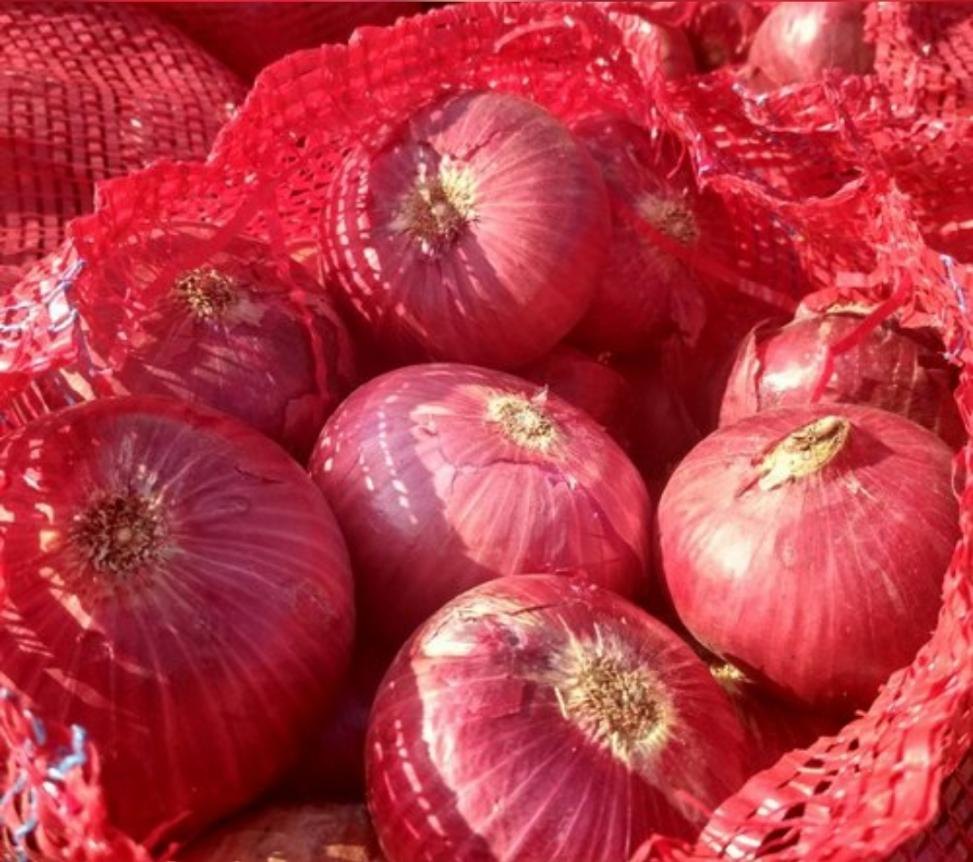 Red Onions