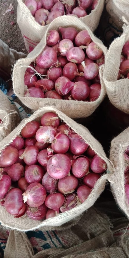 A Grade Maharashtra Export Quality Red Onion Nashik, Net Bag, Onion Size Available: Medium