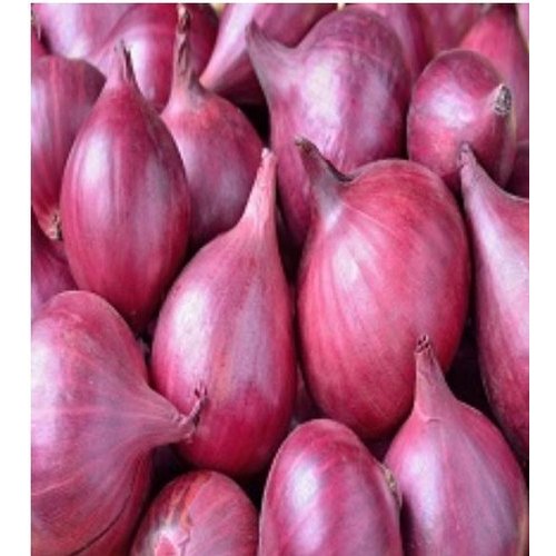 A Grade Dry Red Onion, Net Bag, Packaging Size: 50 Kg