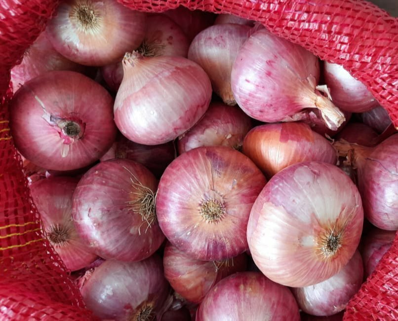 A Grade Maharashtra Orgain Red Onion, Net Bag, Packaging Size: 50 Kg