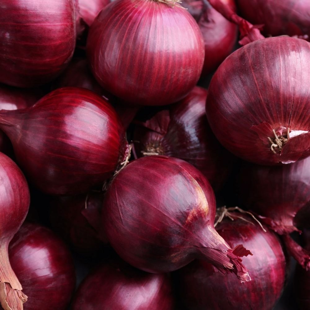 Fresh Organic Red Onion