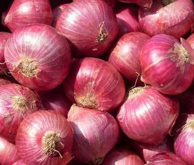 A Grade Maharashtra Fresh Onion, Packaging Size: 50 Kg, Onion Size Available: Large