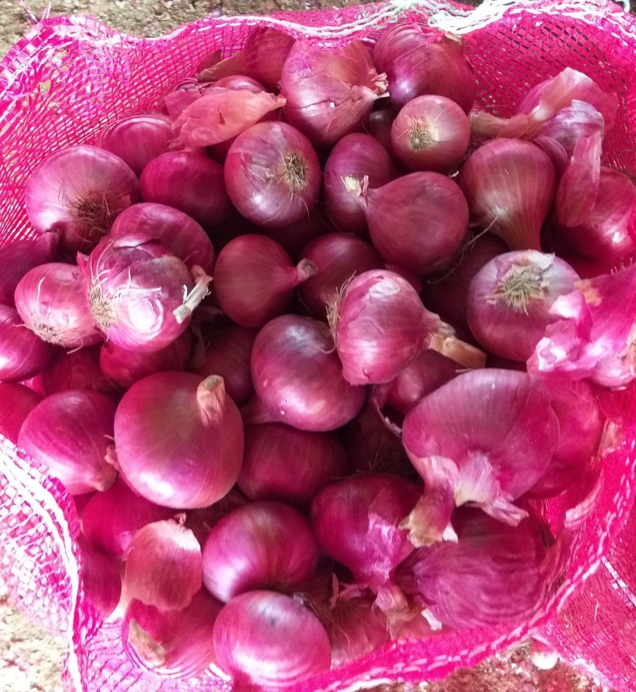 Maharashtra Dry A Grade Nashik Fresh Red Onion, For Food, Onion Size Available: Medium