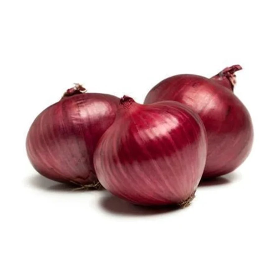 A Grade Cold Storage 55mm Organic Red Onion, Onion Size Available: Medium, Net Bag