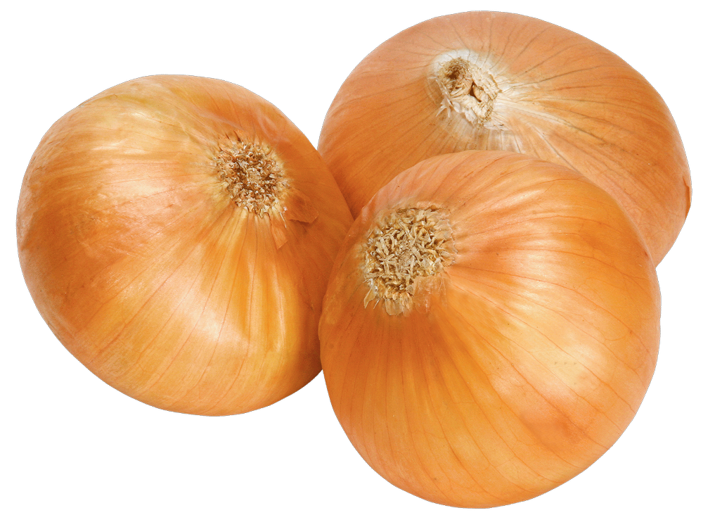 A Grade Maharashtra Organic Yellow Onion, Packaging Size: 50 Kg, Onion Size Available: Medium