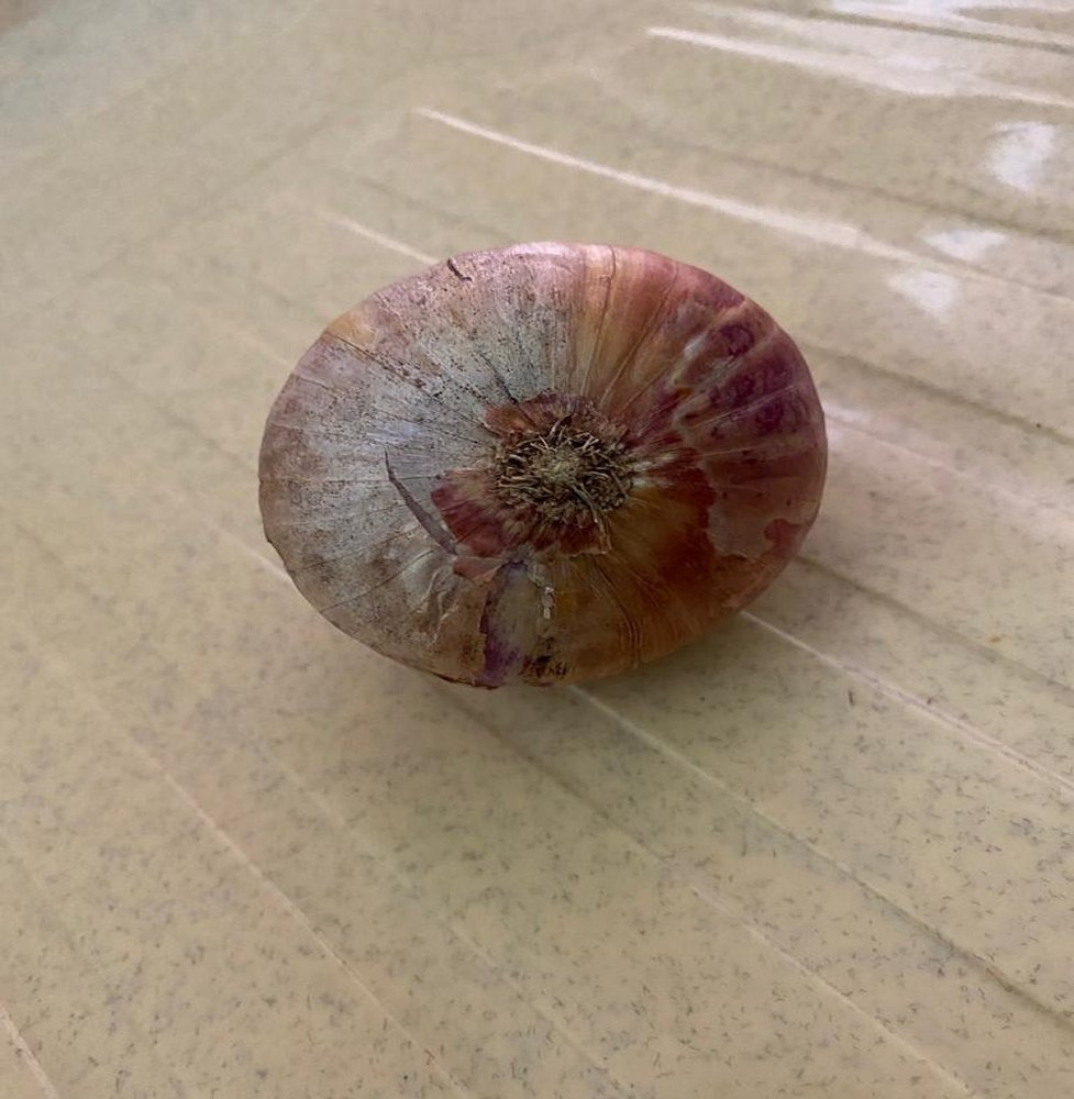 A Grade Dry Fresh Organic Onion, For Food, Onion Size Available: Medium