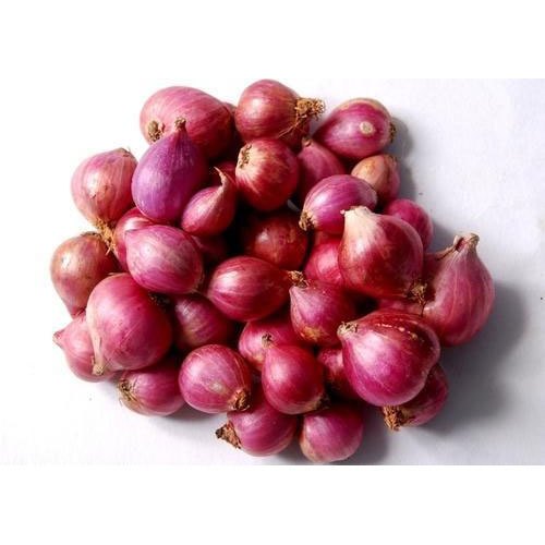 A Grade Dry Place Organic Pink Onion