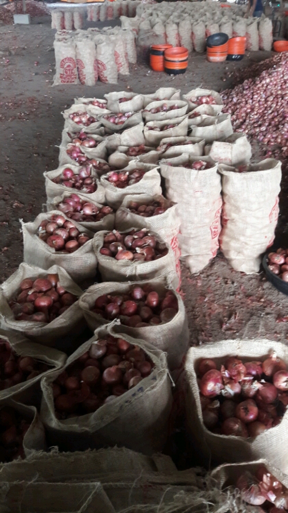 Pure Organic Red Onion