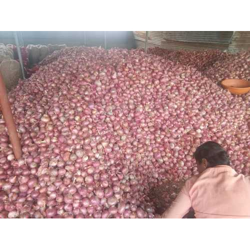 50 kg Organic Onion, Packaging: Jute Bag