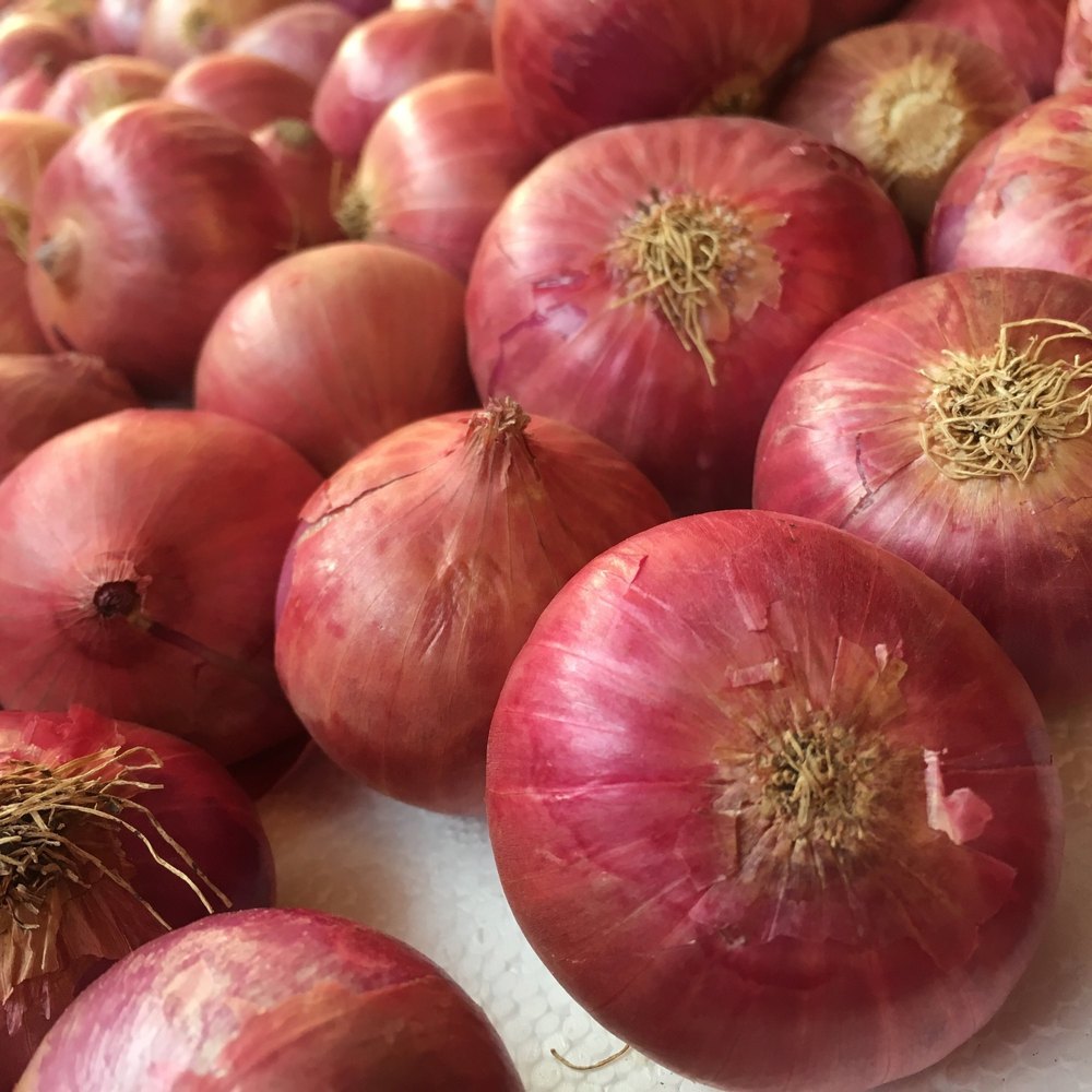 Cold Storage A Grade Pink Onion, For Food, Onion Size Available: Large