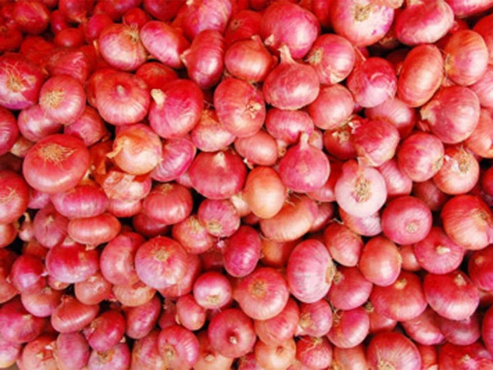 A Grade Dry Fresh Organic Onion, Net Bag, Packaging Size: 50 Kg