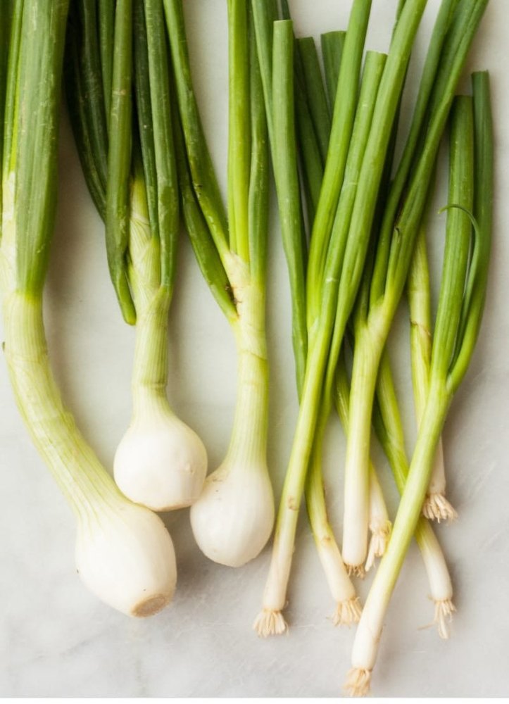 A Grade Cool Organic Spring Onion, Packaging Size: 20 Kg, Onion Size Available: Medium