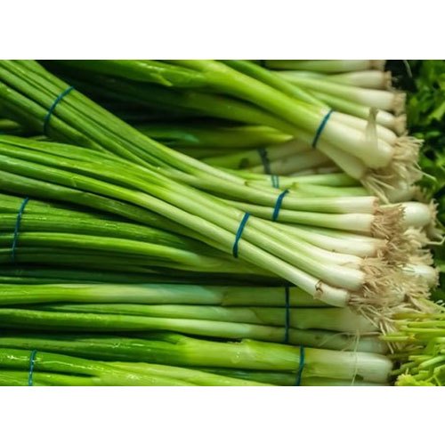 Spring Onion, Gunny Bag