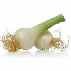 Green Onion