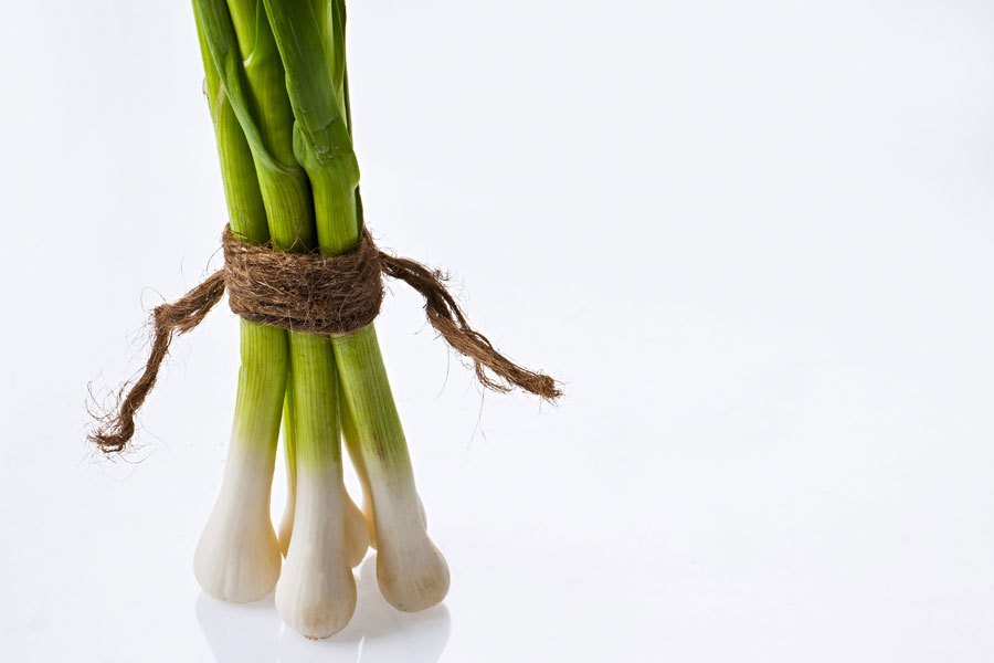 A Grade Fresh Spring Onion, Packaging Size: 10 Kg, Onion Size Available: Medium