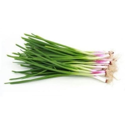 A Grade Spring Onion 5 Kg