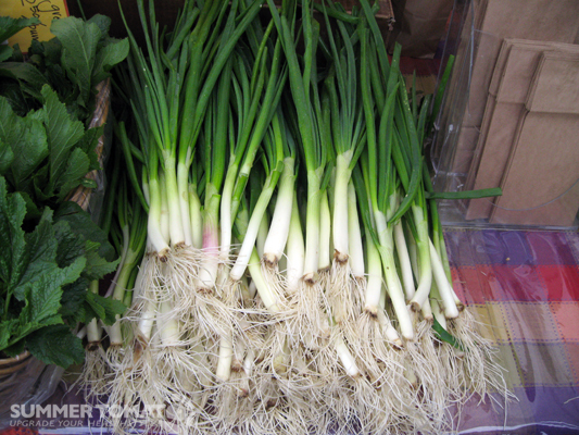 GREEN ONION