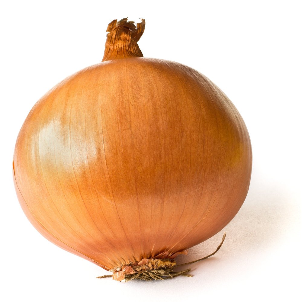 Dry A Grade Brown Onion, For Food, Onion Size Available: Large