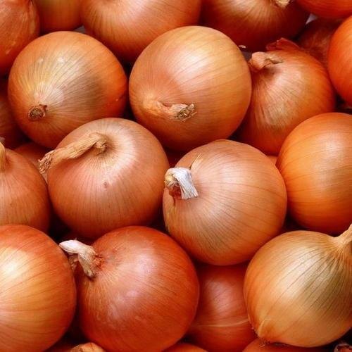 A Grade Dry Place Organic Brown Onion, Jute Bag