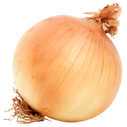 Brown Onion