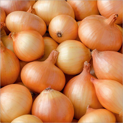 Brown Onion, Pesticide Free