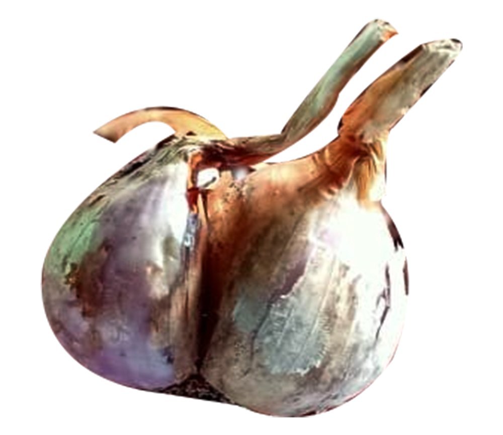Dry C Grade Brown Onion, For Food, Onion Size Available: Medium