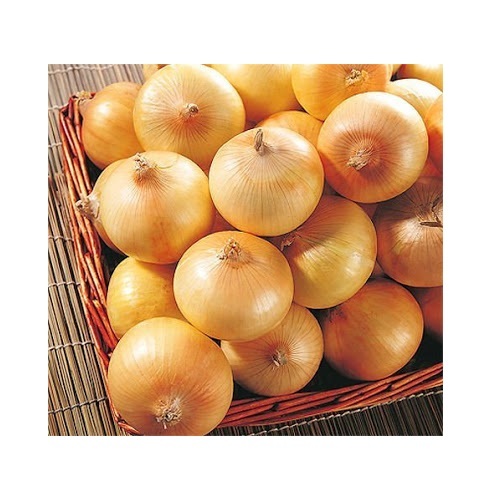Brown Onion
