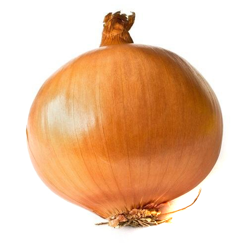Brown Onion