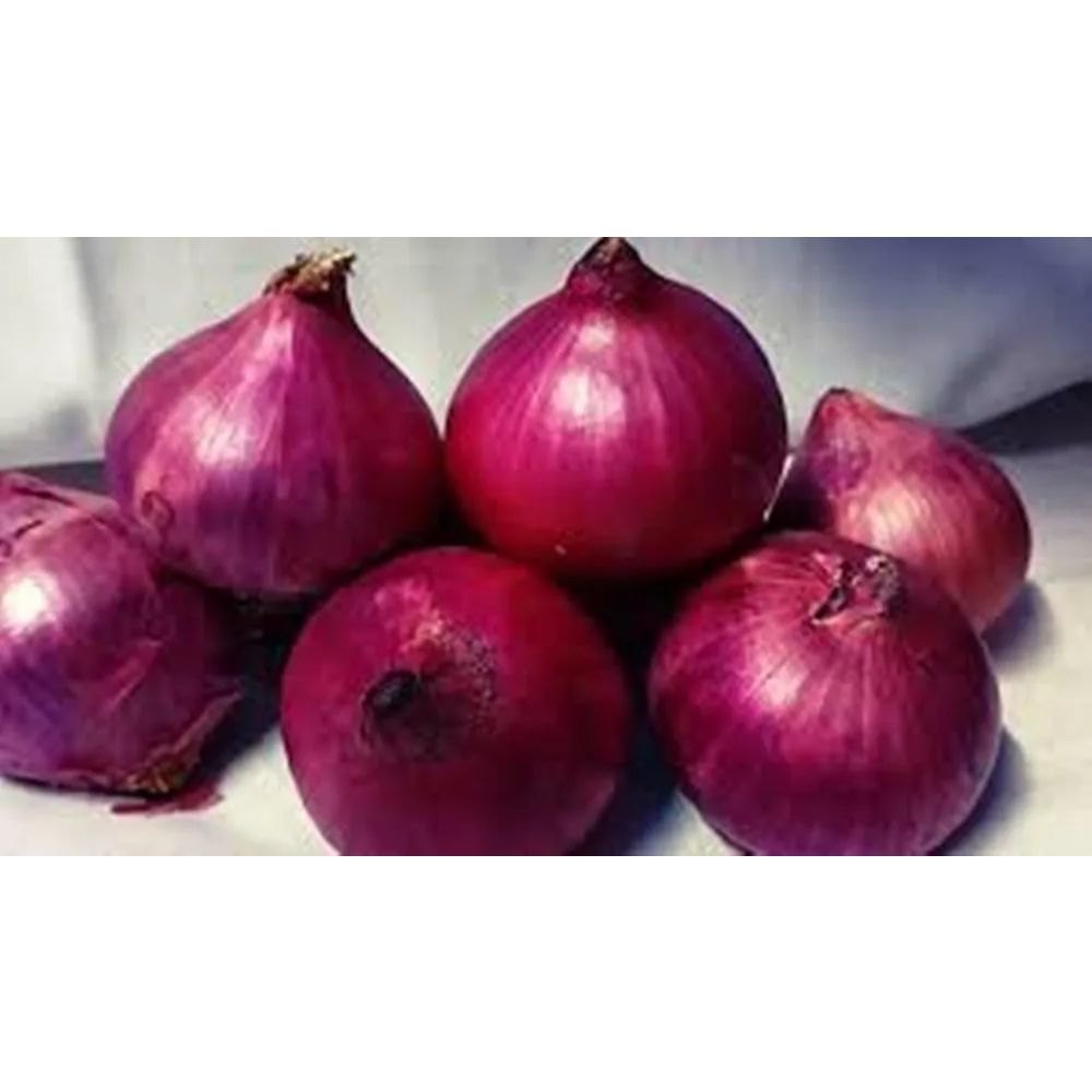 A Grade Dry Maharashtra Hybrid Small Onion, For Food, Loose
