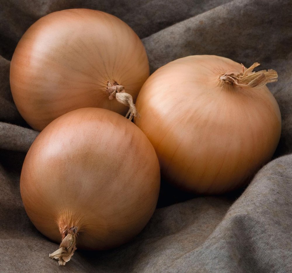 Hybrid Onion, Packaging Size: 50Kg