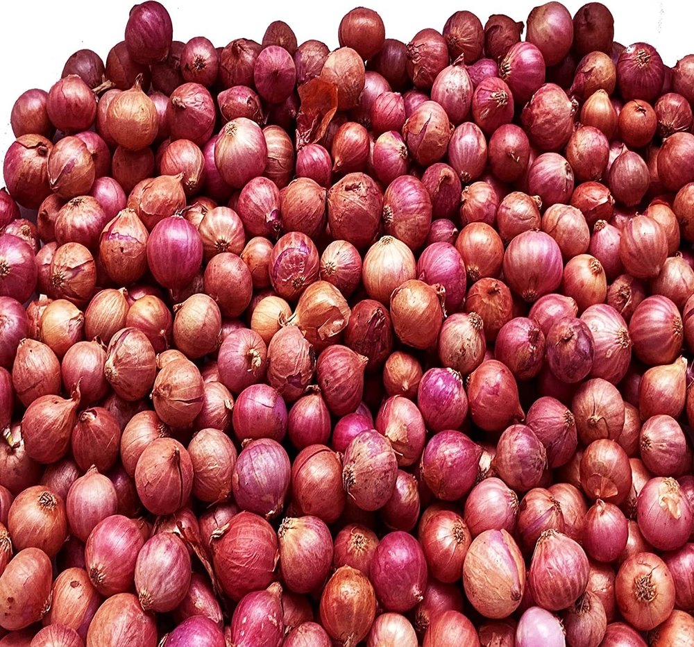 C Grade Maharashtra Red Baby Onion, For Human Consumption, Onion Size Available: Small