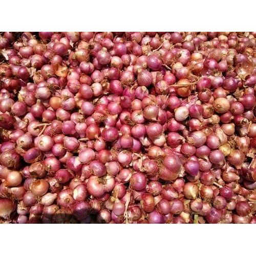 A Grade Dry Place Organic Baby Onion, Jute Bag
