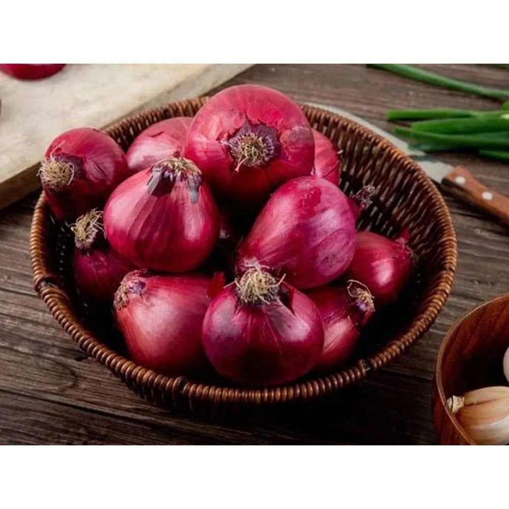 A Grade Dry Maharashtra Small Size Onion, For Food, Loose