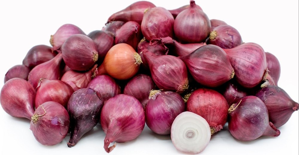 A Grade Dry Red Baby Onion, Loose, Onion Size Available: Small