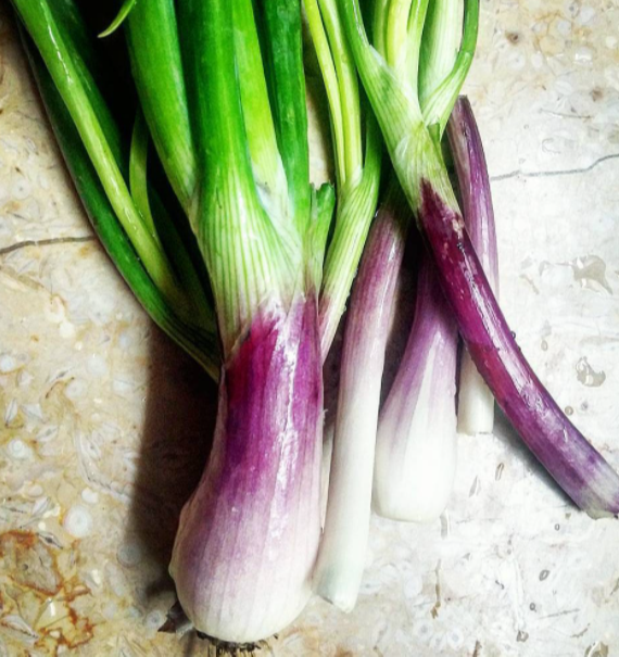 A Grade Maharashtra Baby Onions, For Food