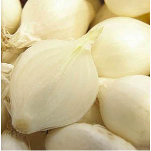 Baby Onion