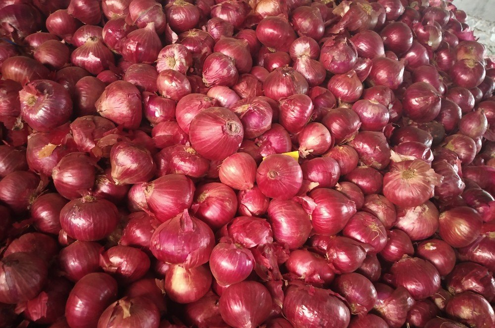 Large A Grade Onion, Imported: Maharashtra Dhule