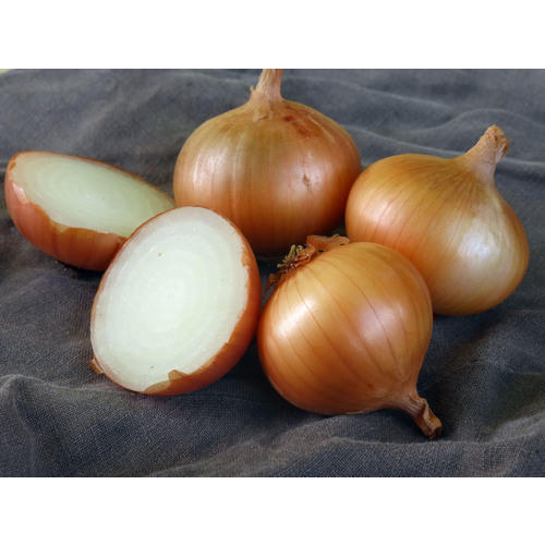 Sweet Onion