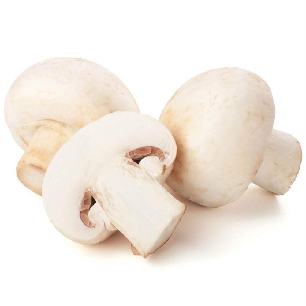 White Button Mushroom, 3.1 G Per 100g
