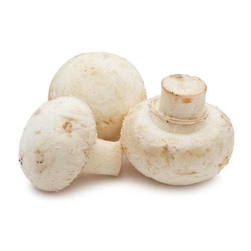 Pan India Fresh Button Mushroom, Packaging Type: Packet, Packaging Size: 200g, 500g