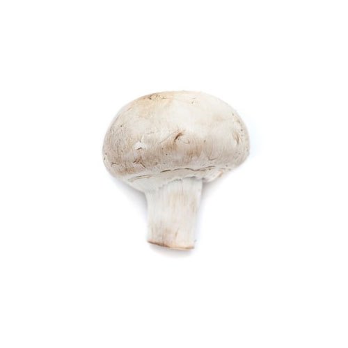 Natural White Button Mushroom, Packaging Type: Pp Bag, Packaging Size: 200gm And Loose Pkg