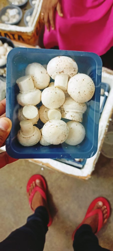 West Bengal White button mushroom, Packaging Type: Box, Packaging Size: 200 Gm