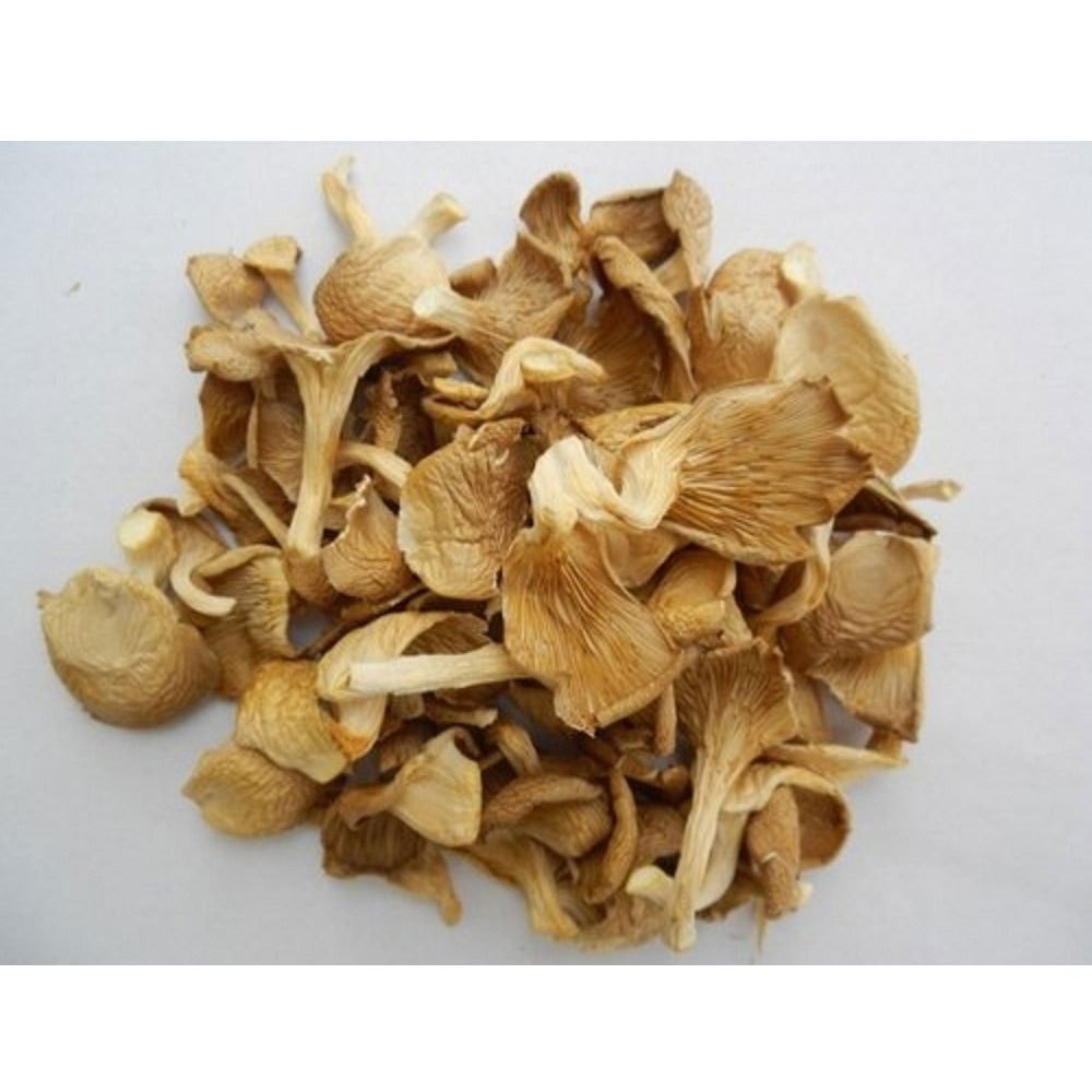 Dehydrated Oyster Mushroom