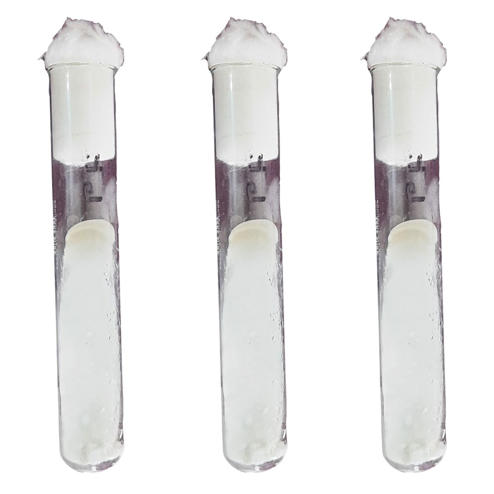 White Oyster Mushroom Tissue Culture, Packaging Type: Tube, Packaging Size: 50 Gm