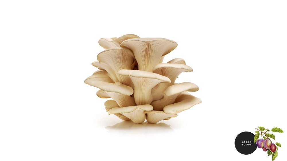 Pan India Fresh Oyster Mushrooms, Packaging Type: PP Bag, Packaging Size: 200 g