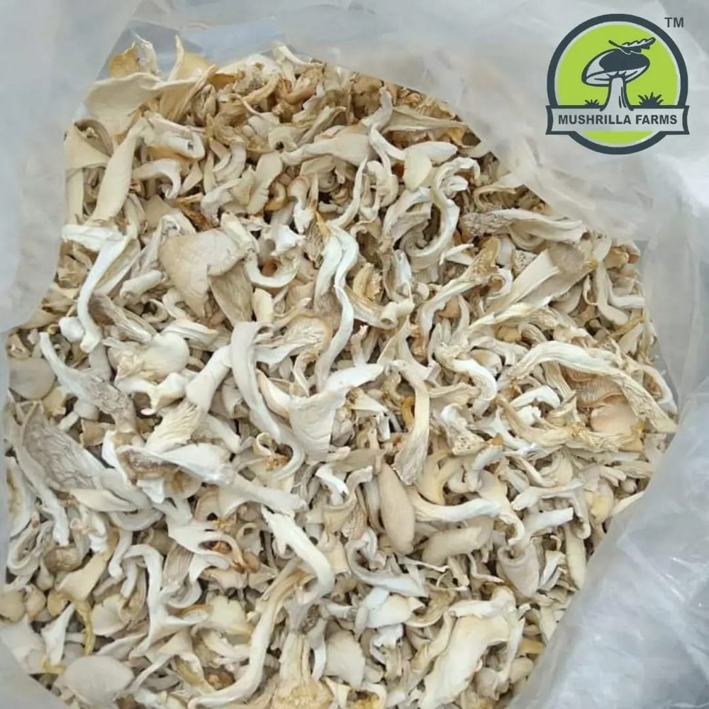 Dried Oyster Mushroom, Packaging Type: Loose