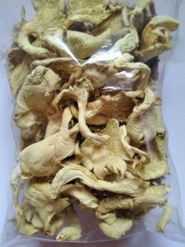 Dried Oyster Sajor Caju Mushroom, Packaging Type: Loose